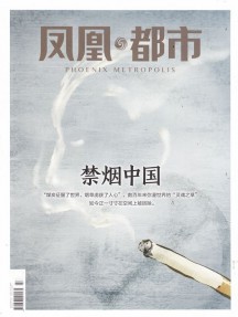 凤凰都市